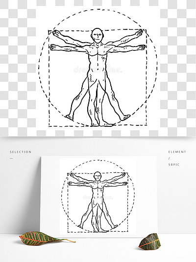 達芬奇人體素描