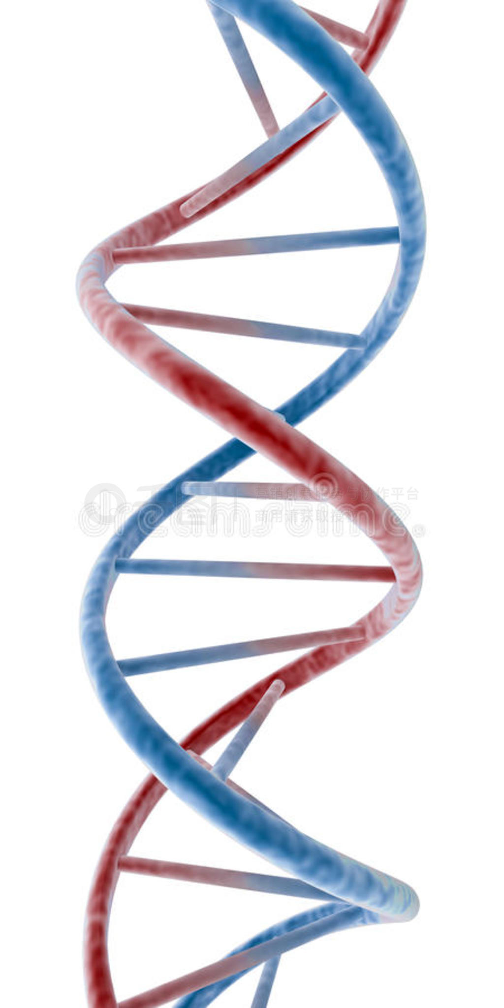 dna