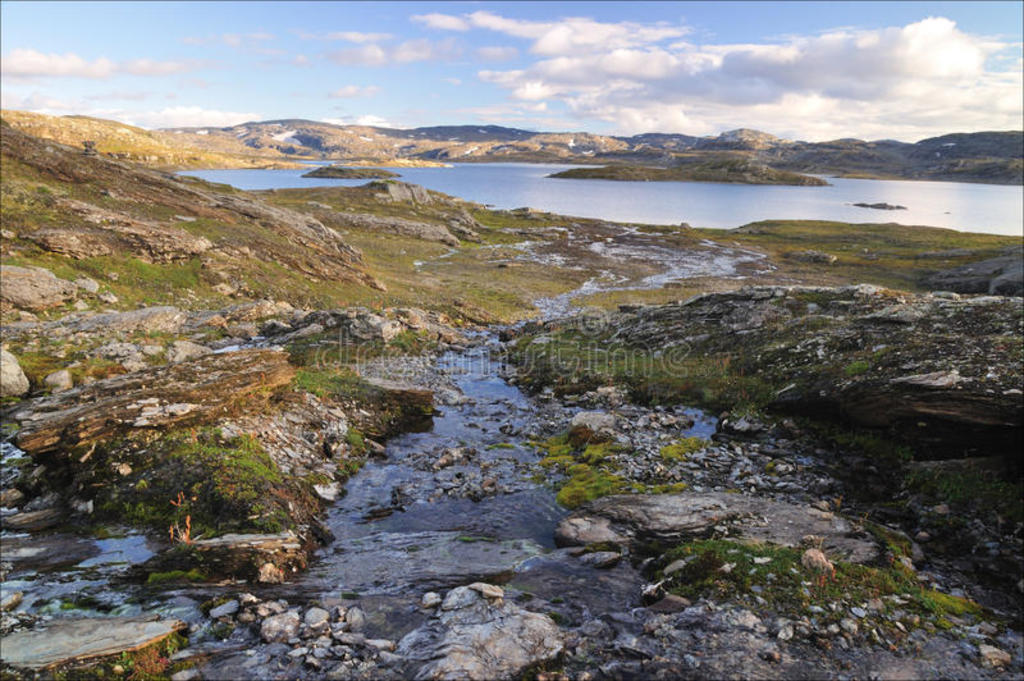 hardangerviddaŲ