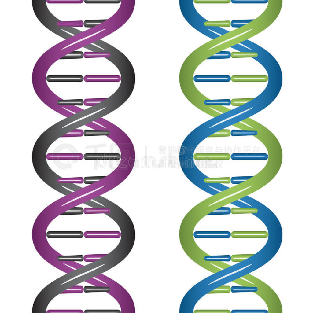 ޷dna