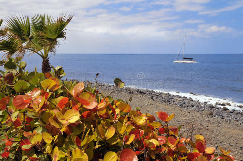 ѵcosta adeje