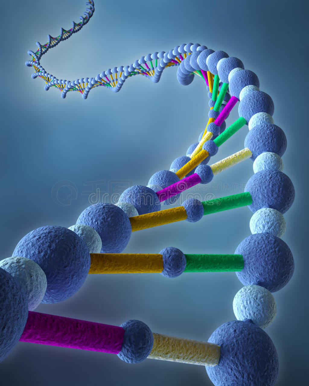 dna