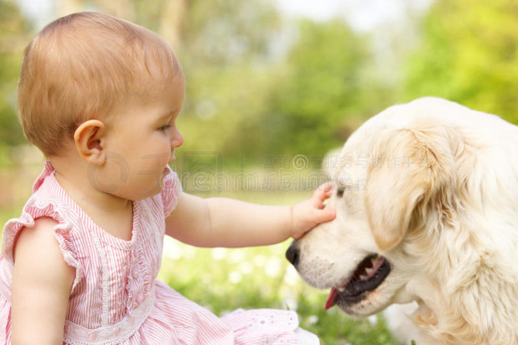 װڵϵŮӤ