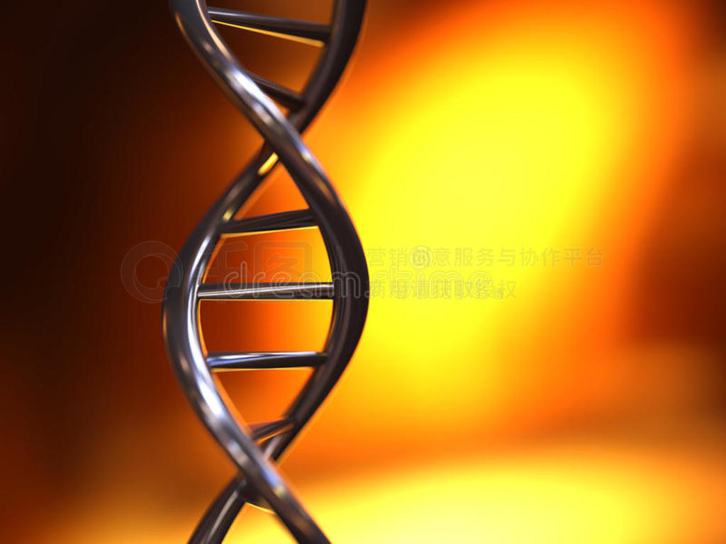 dna