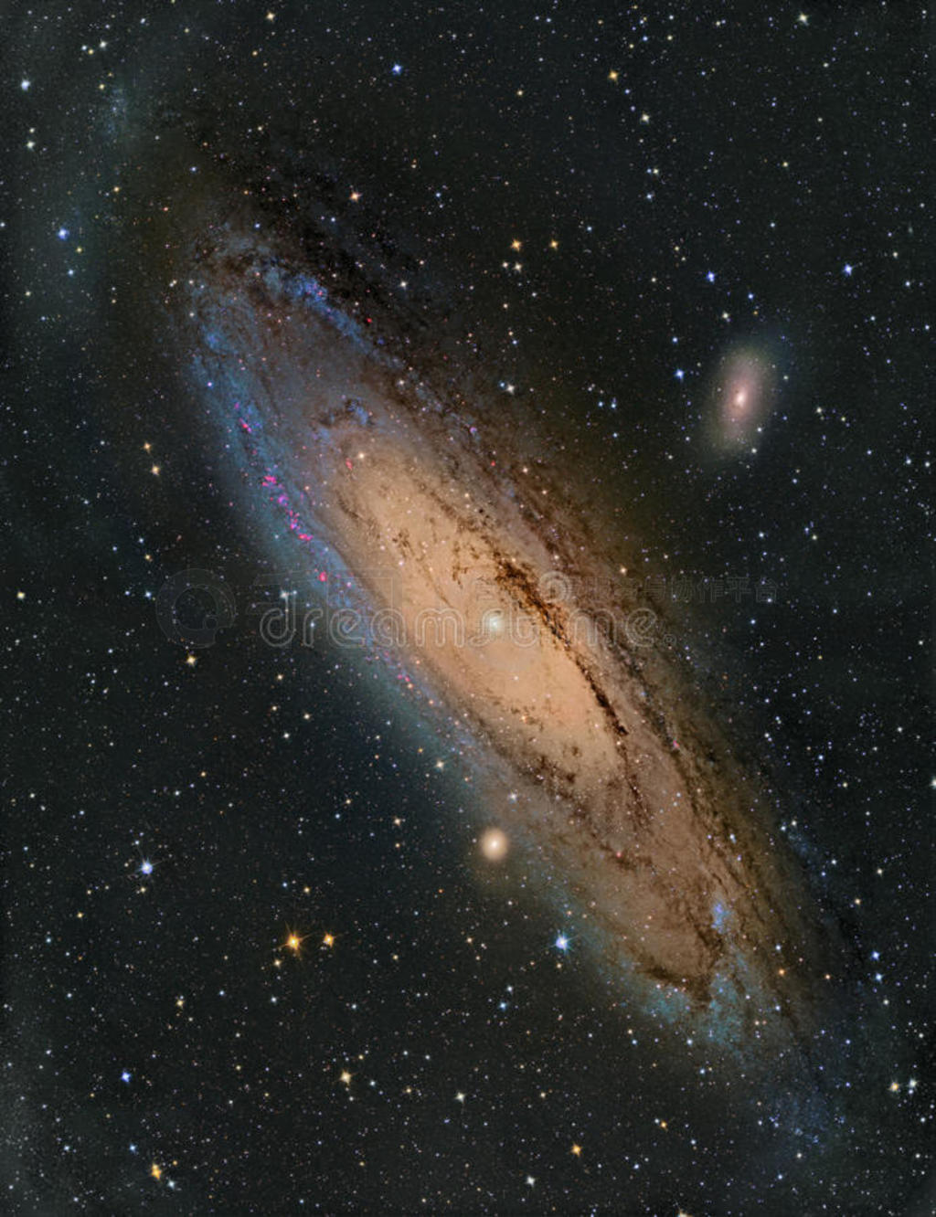 m31Ůϵ