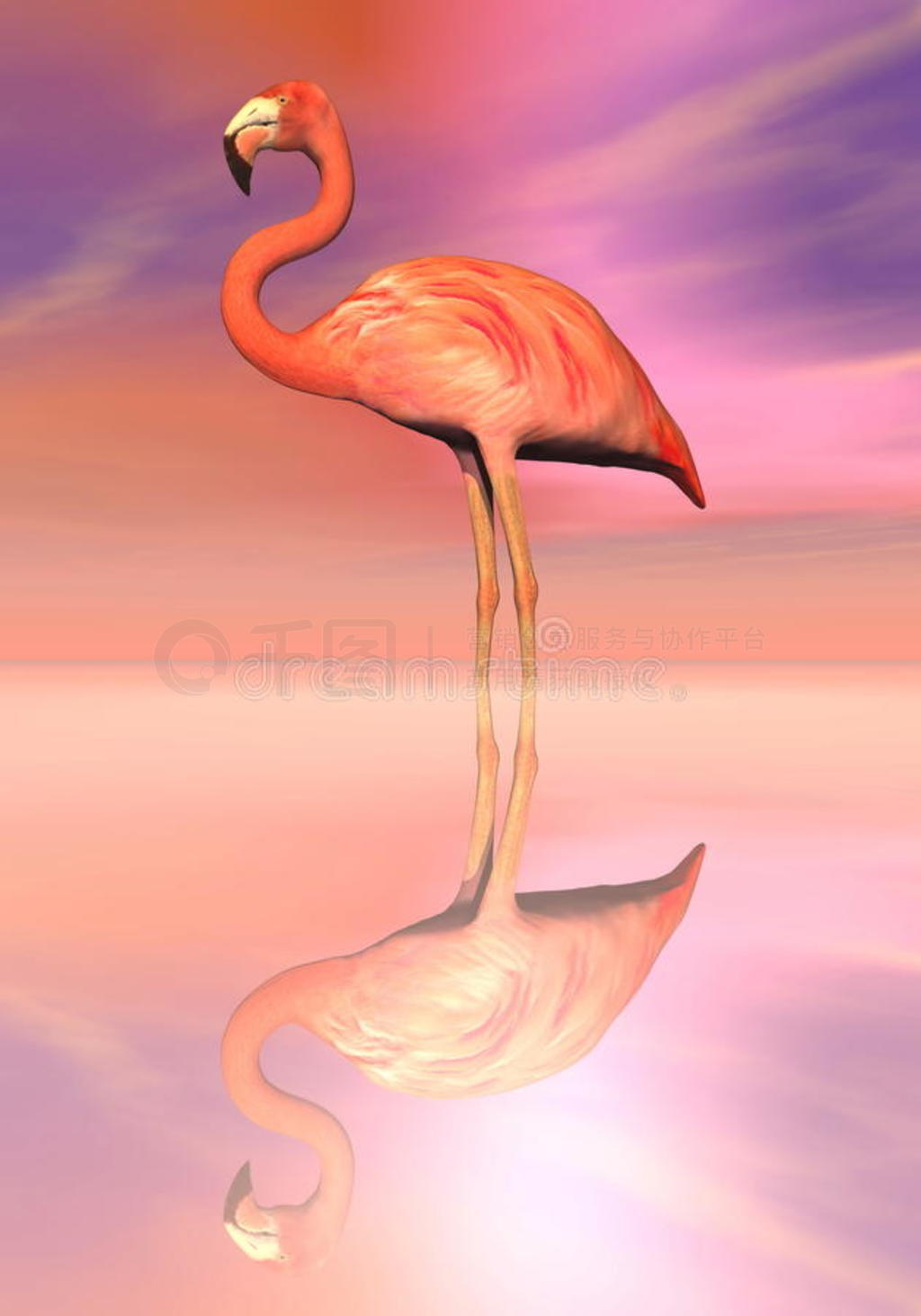 flamingo-3dȾ