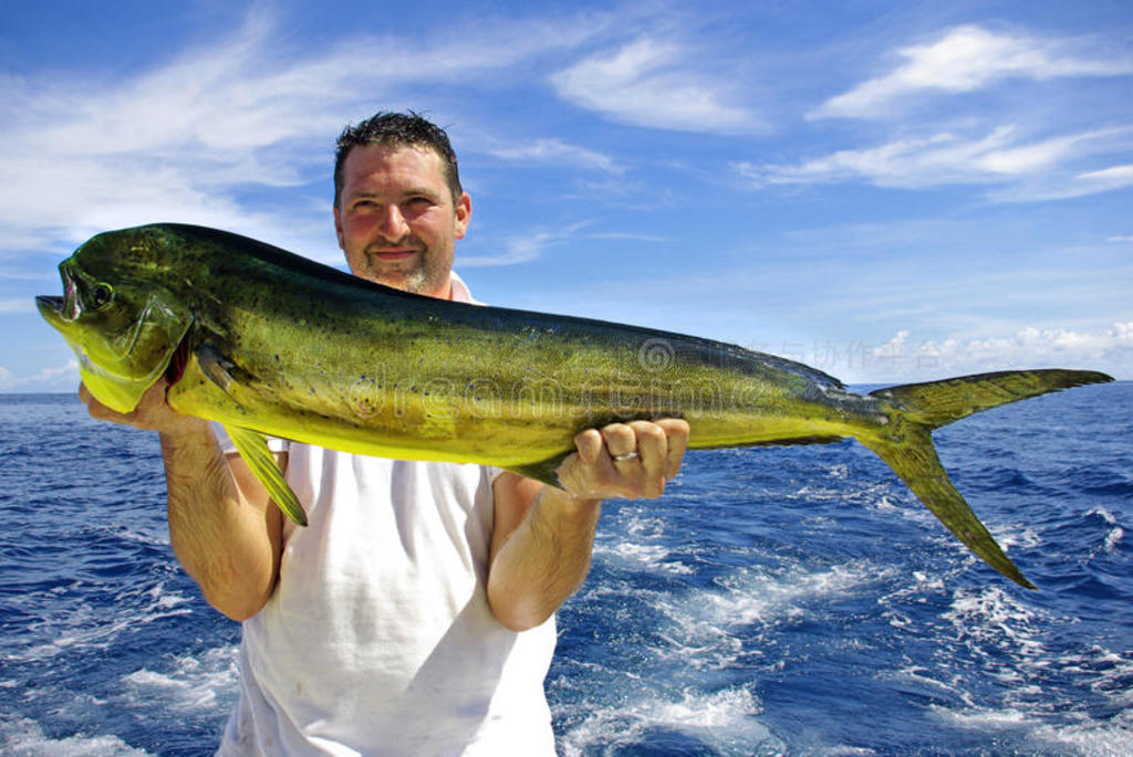 㣨mahi mahi