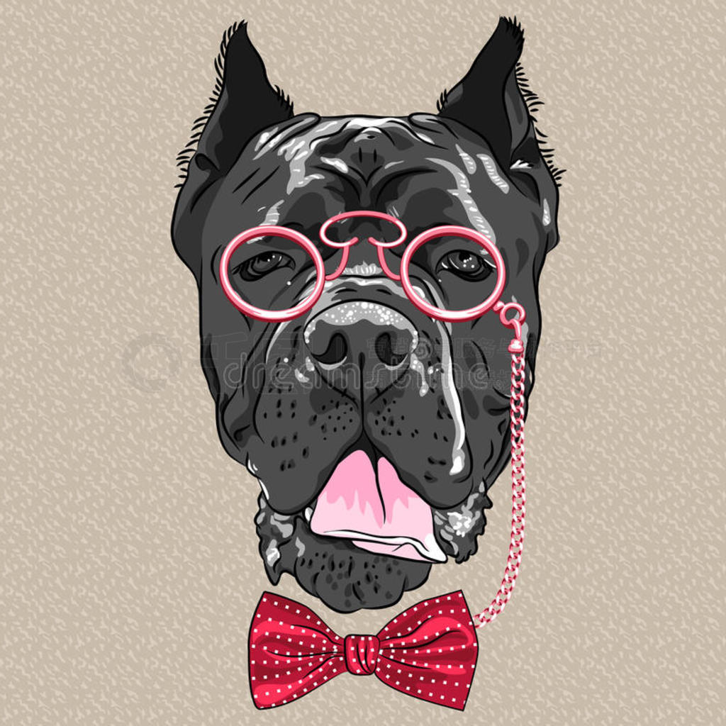 vectorЦͨʱйcane corso