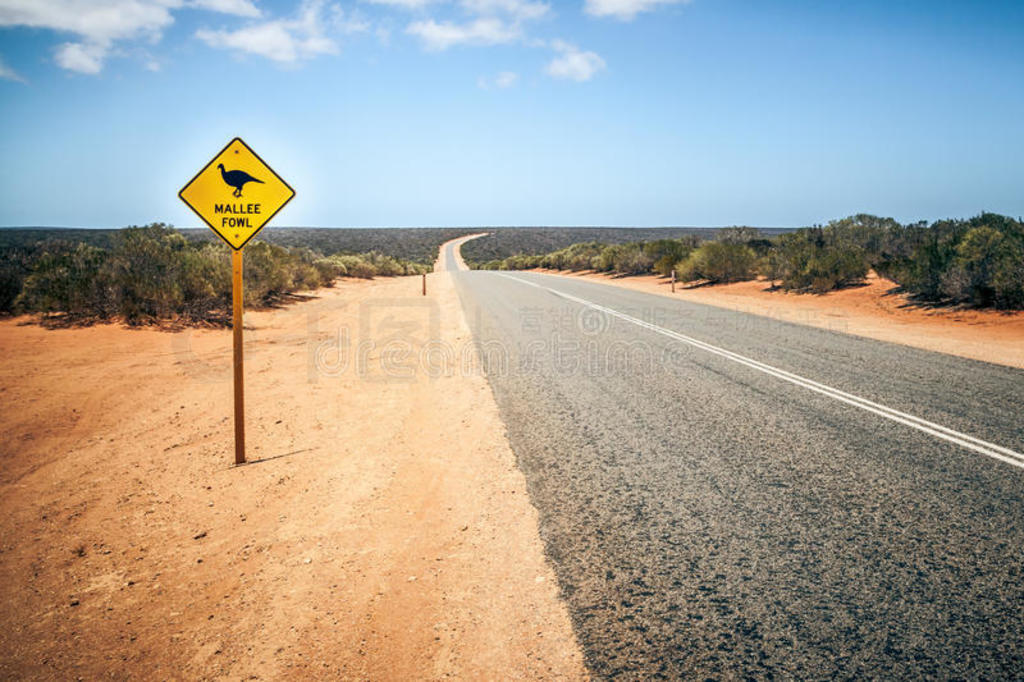 Ĵ·mallee fowl