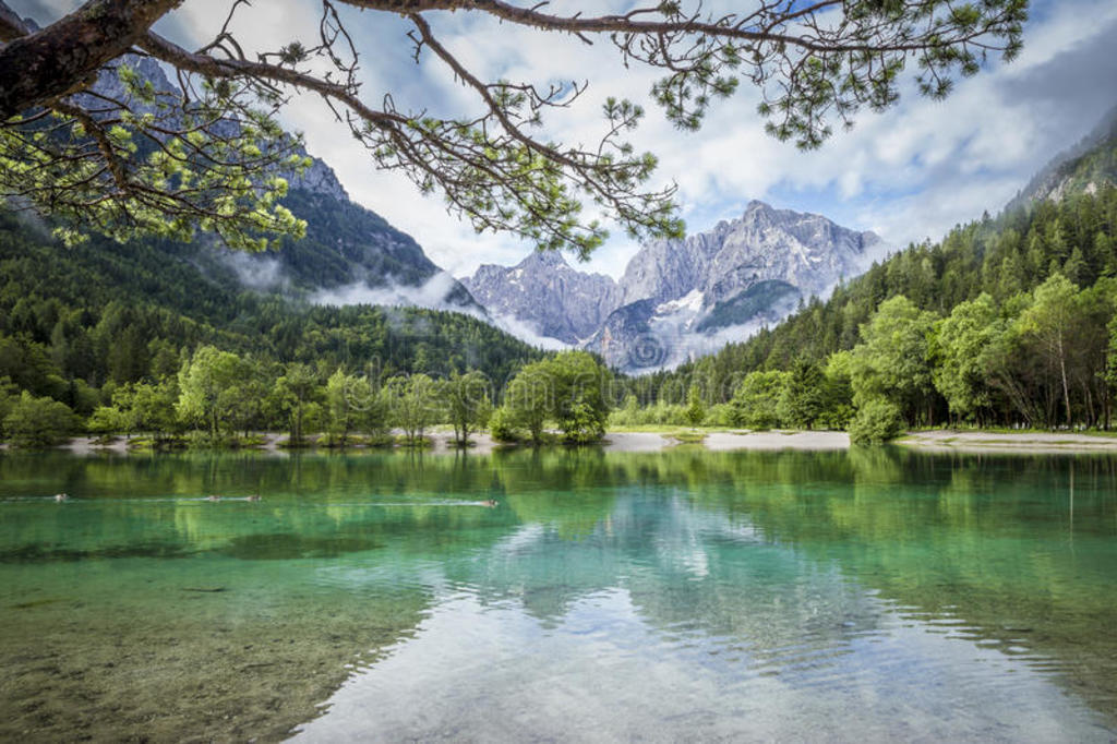 ҹ԰kranjska gorazelenci