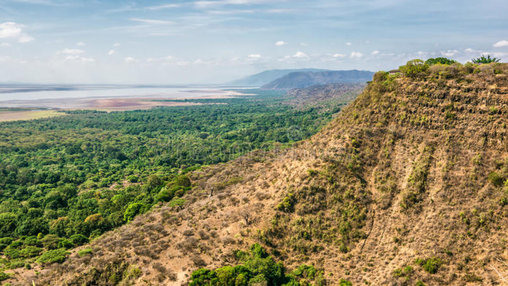 ̹ɣngorongoro