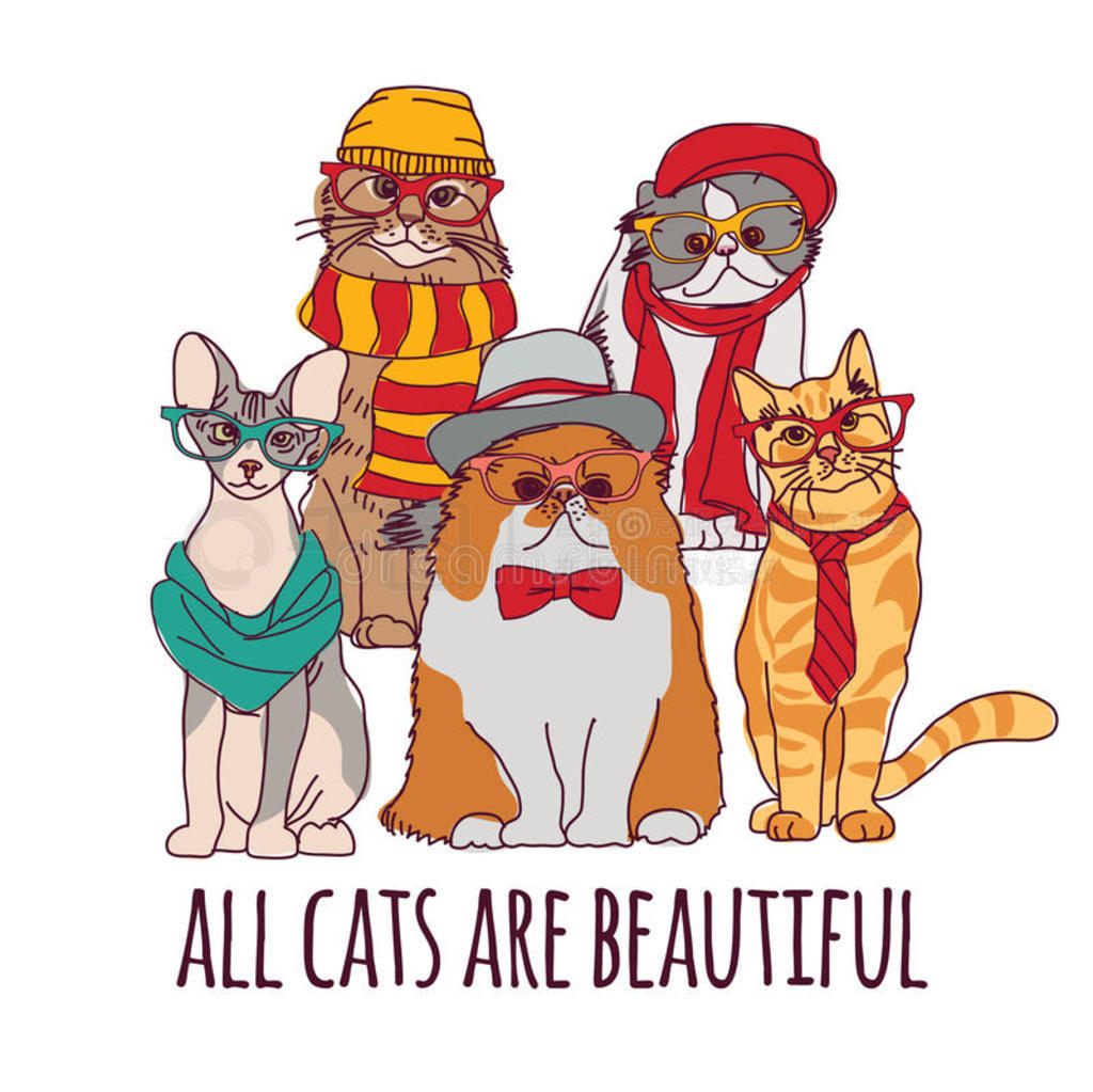 ֻèʱװ֡ALLCATSAREBEAUTIFUL