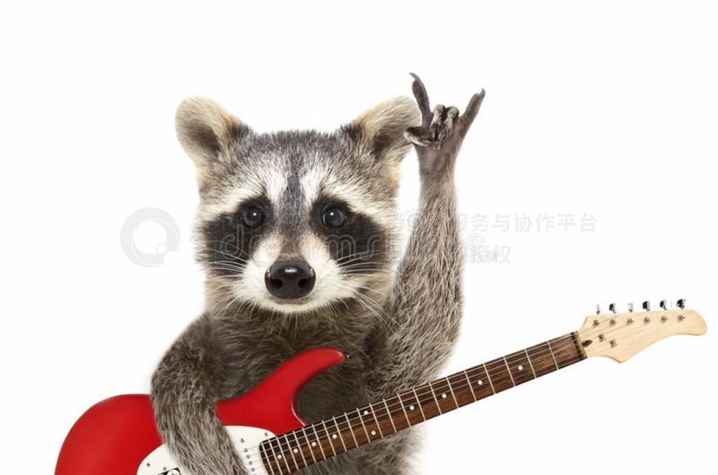 ФһȤrһccoon͵guitһr,չӳһʯ