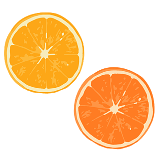 水果矢量可爱橙子横切面插画装饰设计元素