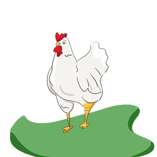 卡通家禽动物可爱手绘鸡禽流感