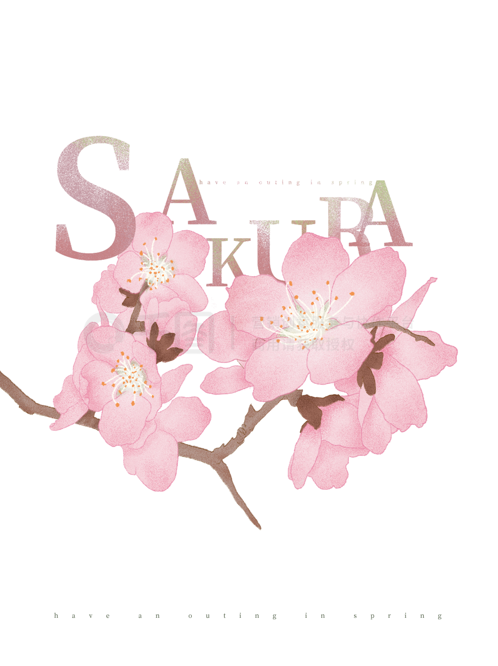 sakuraӣС廭ز