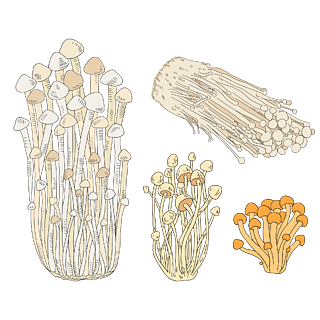 【卡通金針菇】圖片免費下載_卡通金針菇素材_卡通金針菇模板-千圖網