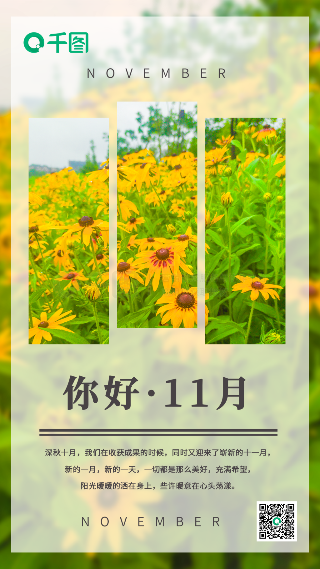 11ǩֻ