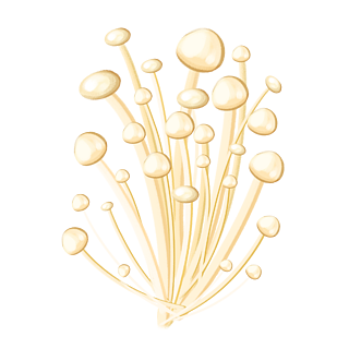 手绘金针菇菌类蘑菇蔬菜生鲜火锅插画元素