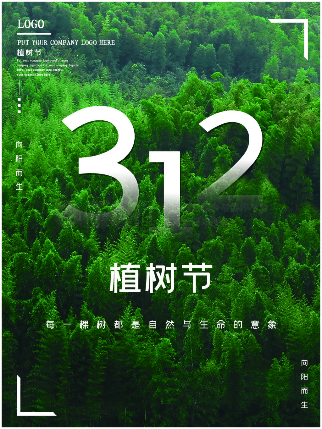 ɫԼ3.12ֲڱ溣