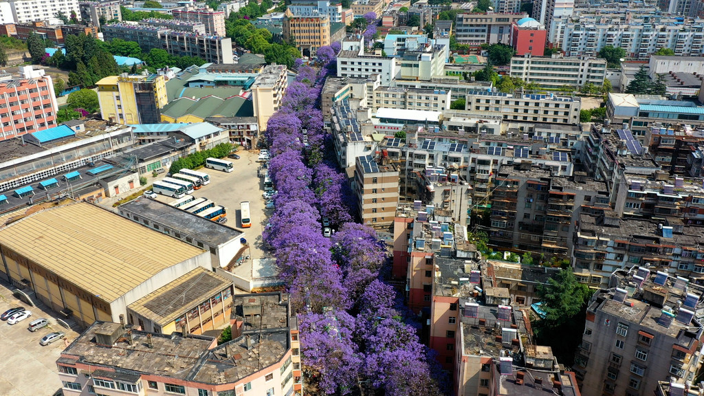 昆明校场路图片