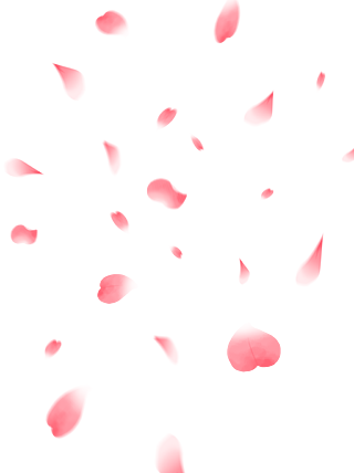 樱花花瓣单个图片