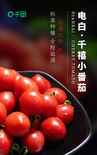 千禧小番茄广告语图片