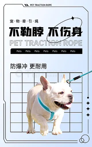 宠物牵引绳海报猫咪狗狗遛绳宠物用品狗绳