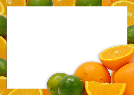 橘子橙子水果边框背景