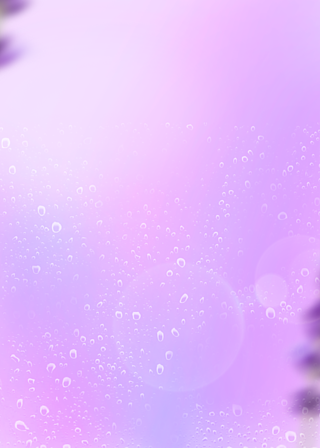 浪漫紫色薰衣草光晕水滴背景