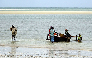 非洲莫桑比克德尔加杜角奔巴岛 Chuiba Bay Lodge 前的海滩上 当地人男人和女人清晨在海洋捕鱼 他们的船和网