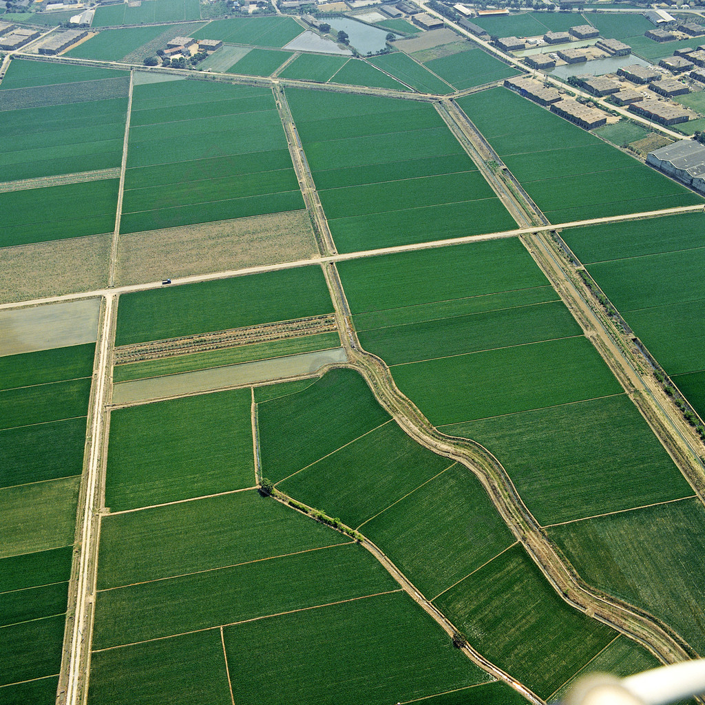 鳥瞰圖農業農場自然田園風光草地戶外土地高視角草地風景植物