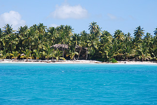 Saona 岛是<i>东</i>国家公园的一部分 拥有美丽的海滩棕榈树 在加勒比海的多米尼加共和国岛拥有清澈碧蓝的大海
