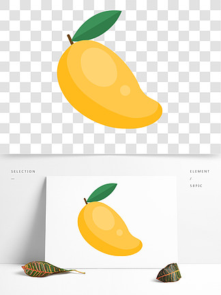 印度乌加迪可爱黄色大芒果
