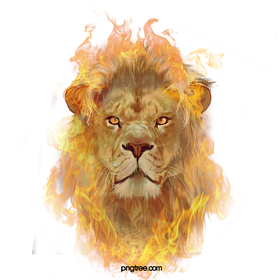 火焰狮子王国之心图片