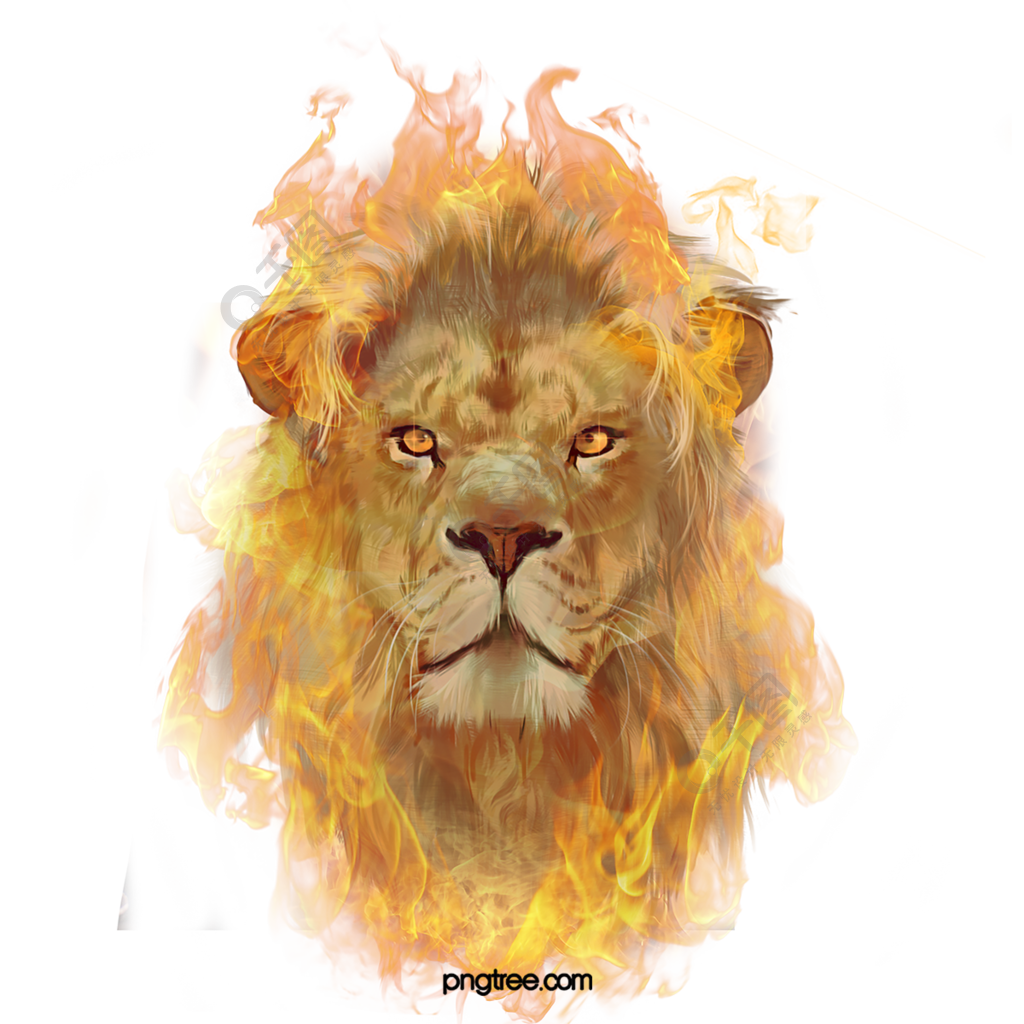 红狮子火焰质变图片
