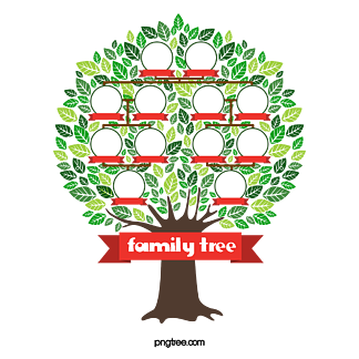 手绘绿色家族树家庭关系家谱大树