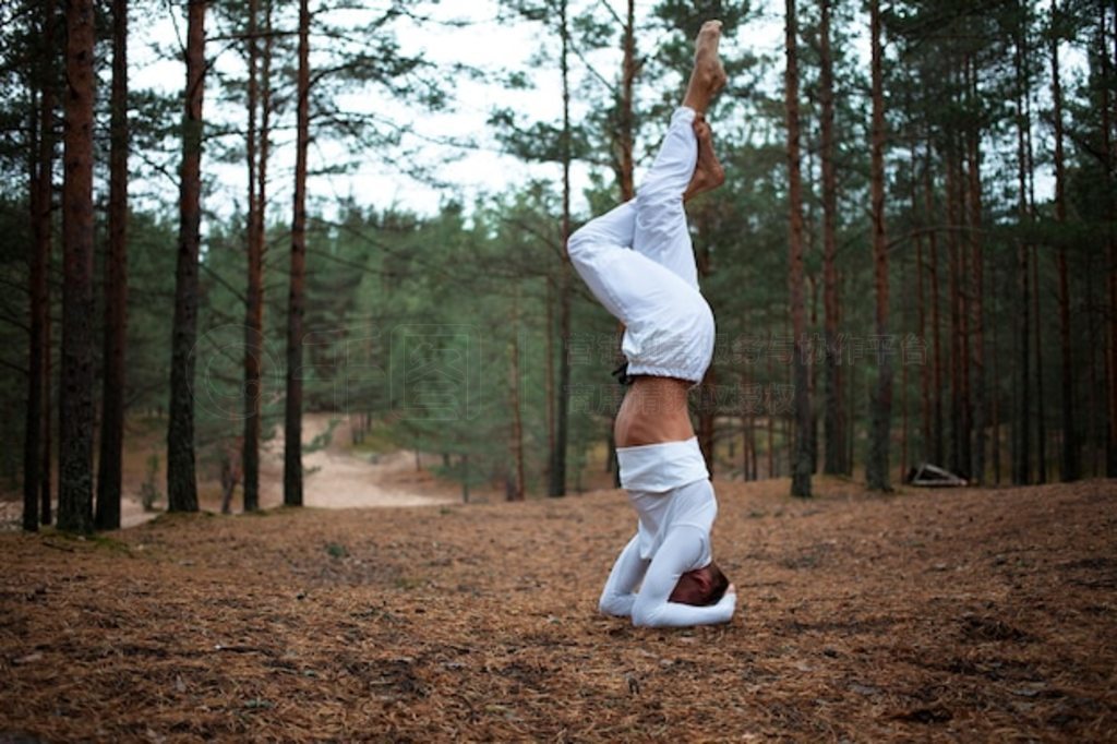 Űɫ·ĳɭｻ˫ȣڵ Salamba Shirshasana ٤Ƶı仯߼٤ʿѵֲƽĻ