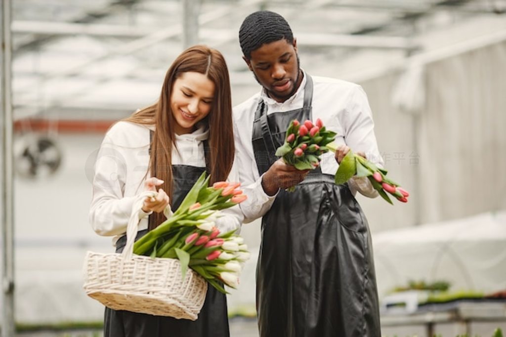 ϵ㻨кŮϵΧȹ G.ardeners