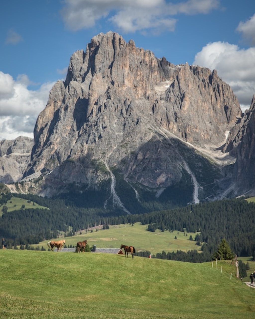  Seiser Alm - Alpe di Siusi ֱ㣬ӵпƥ