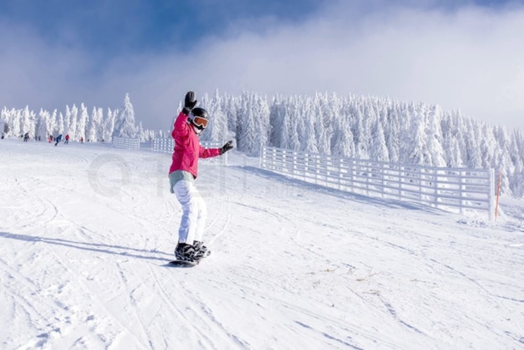 白色高清图片 滑雪板滑雪者在山区度假村的山上骑行，背景是白雪皑皑的树木 风景名胜免费下载 格式 编号52529839 千图网