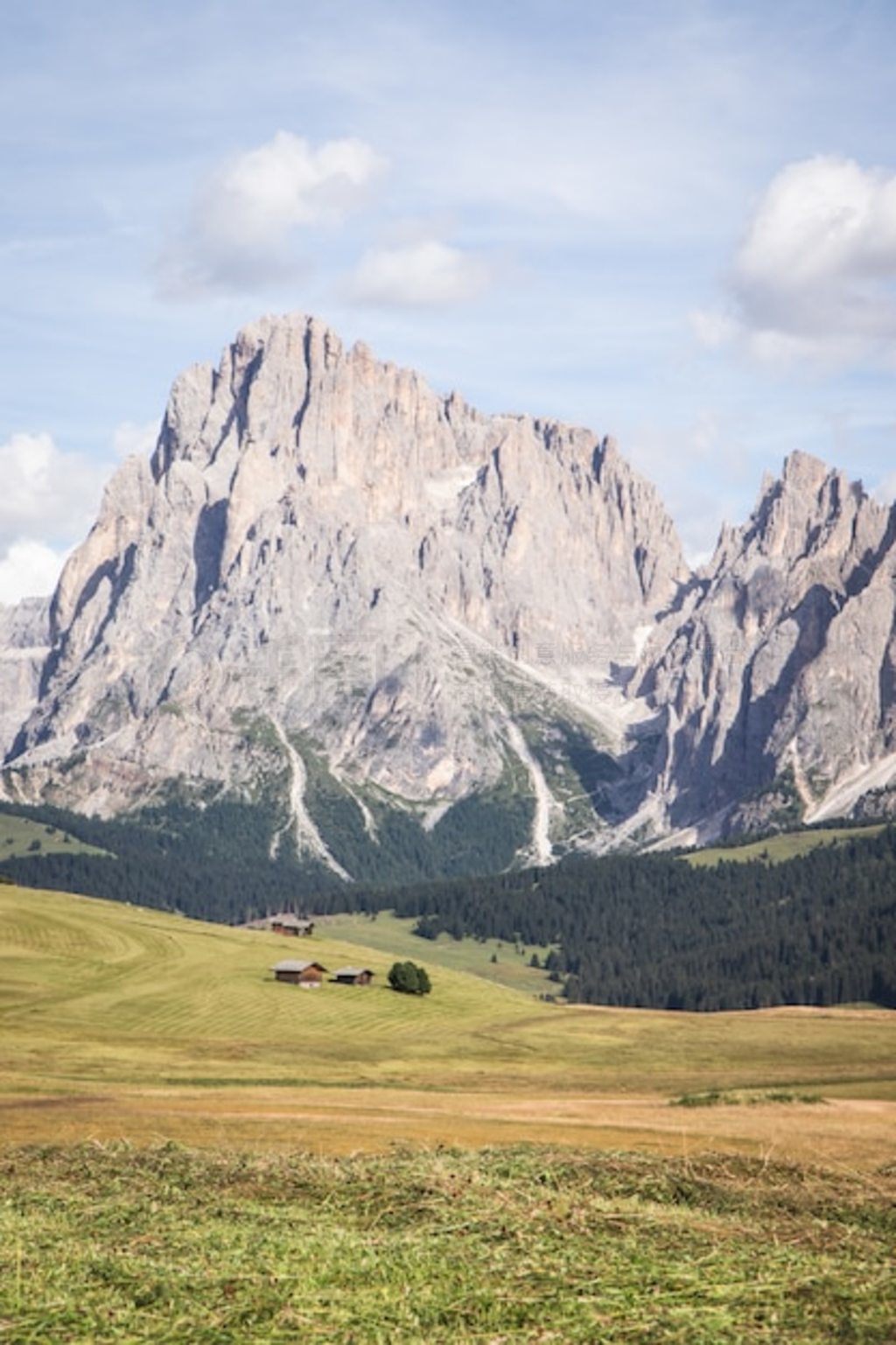 Seiser Alm - Alpe di Siusi Ĵֱ㣬 Compatsch ӵп