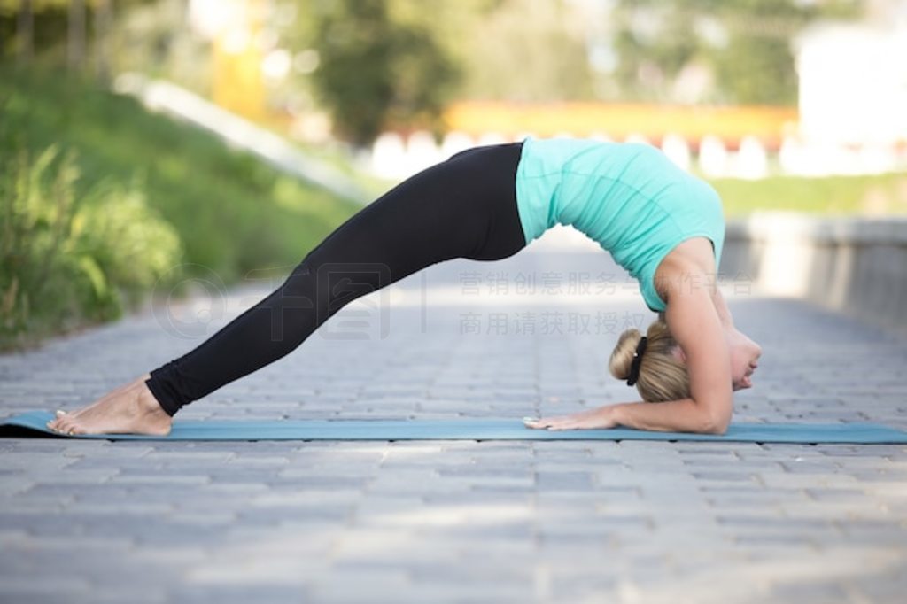 Dvi Pada Viparita Dandasana 