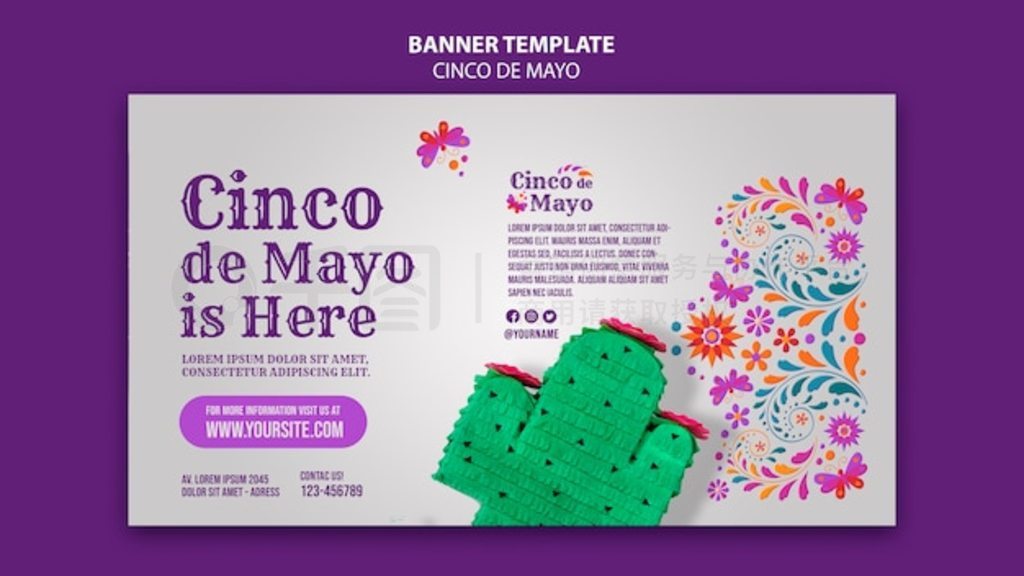 Cinco de mayo ʵģ