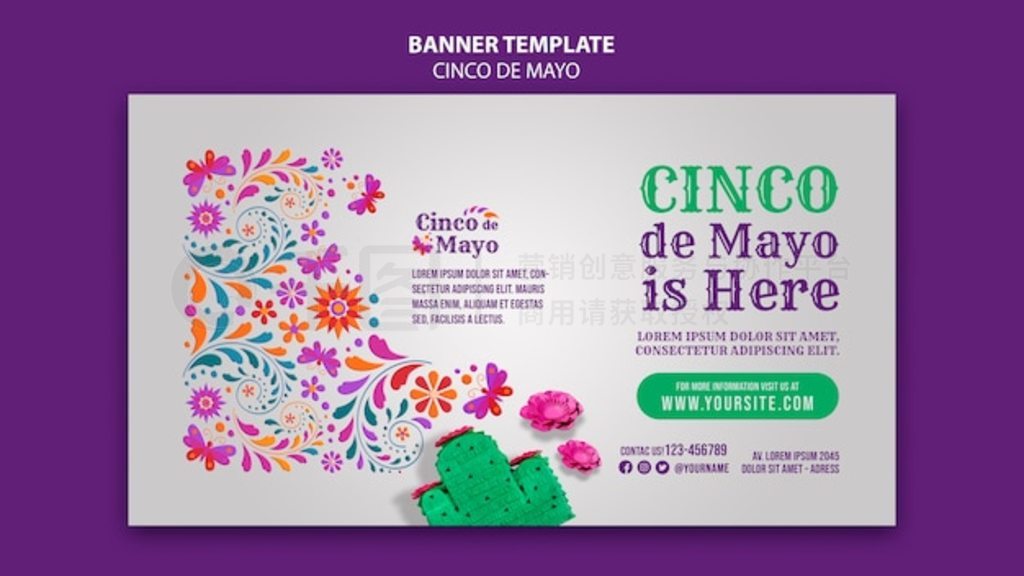 Cinco de mayo ʵģ