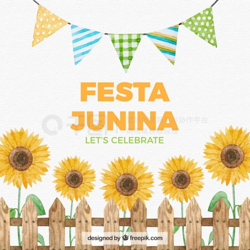 Festa junina ˮԪ