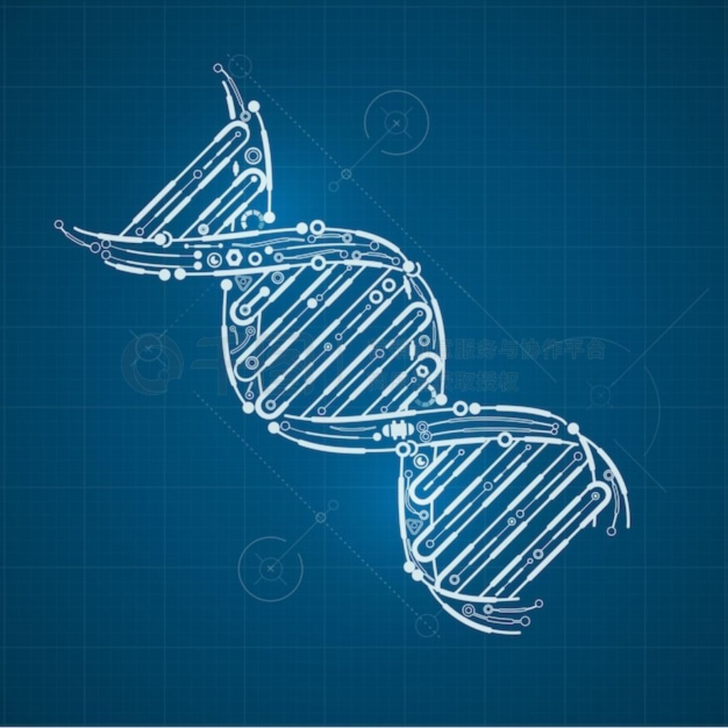 DNA״Ӱͼ