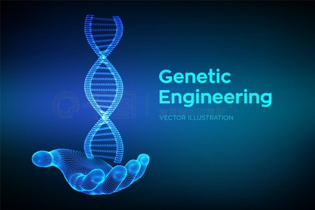 DNA ֡߿ DNA ӽṹ DNA