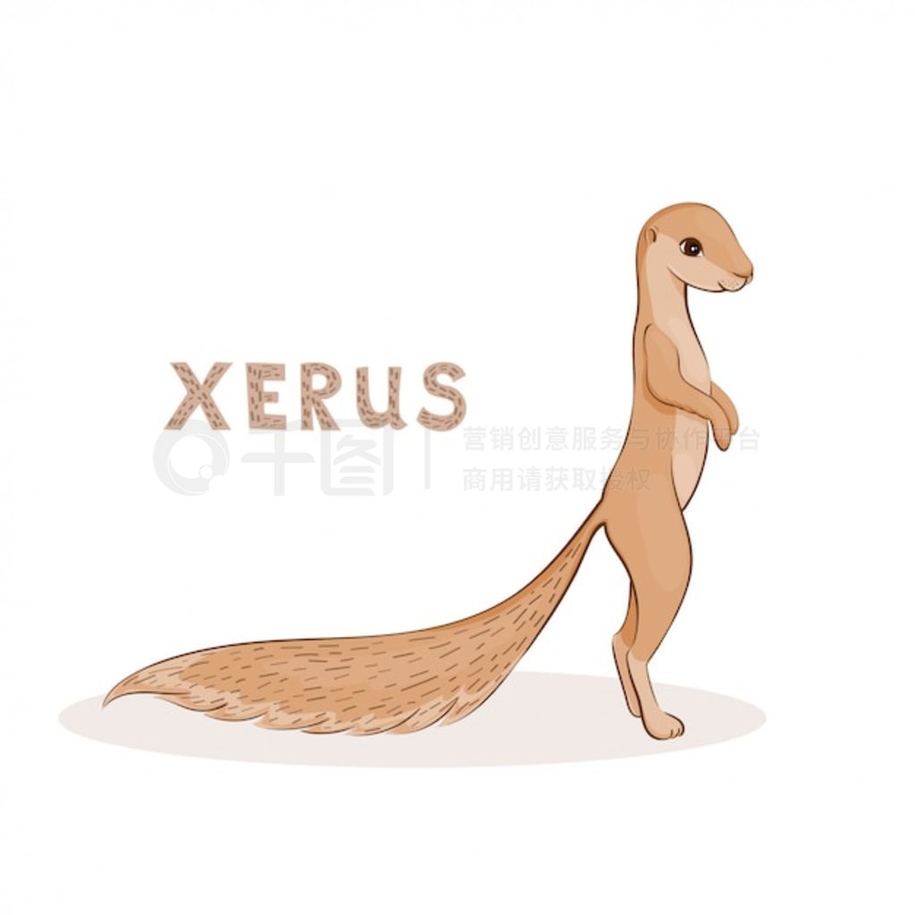 ͨ xerus