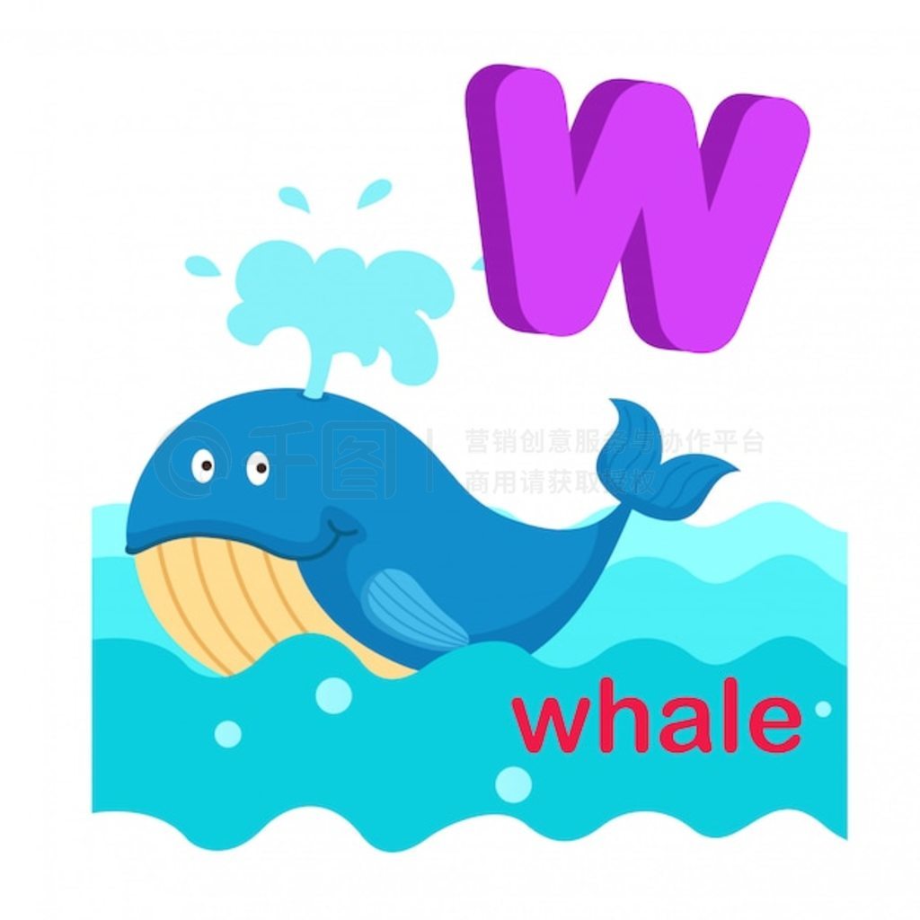 ͼĸ W Whale.vector